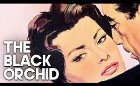The Black Orchid | Classic Drama Film | Anthony Quinn | Romantic Film